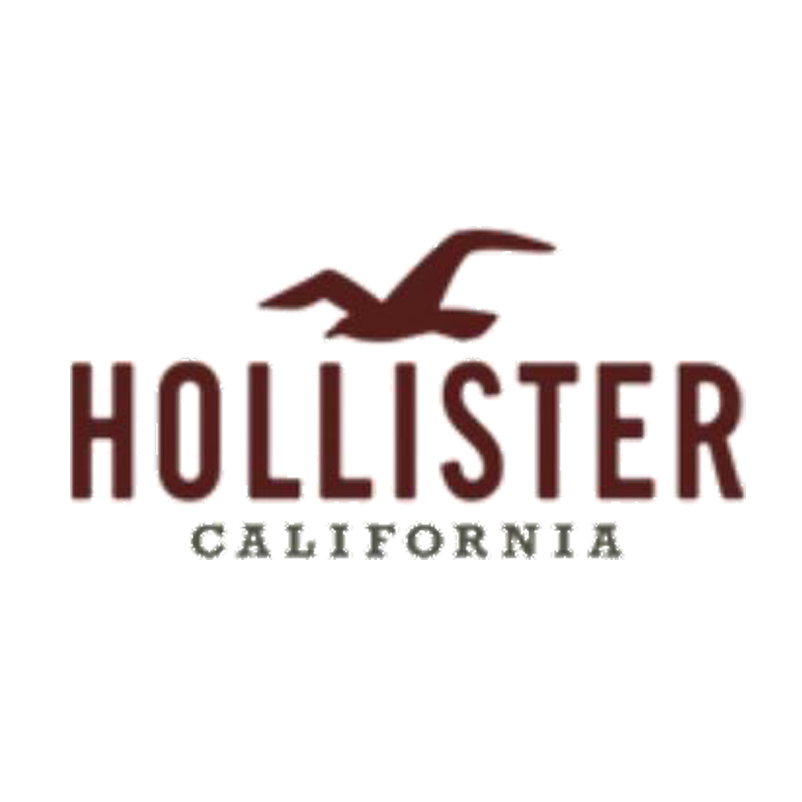 Hollister discount codes