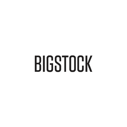 Big Stock discount codes