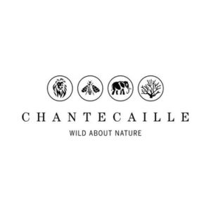 Chantecaille discount codes