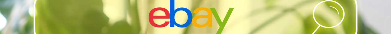 eBay Discount code banner