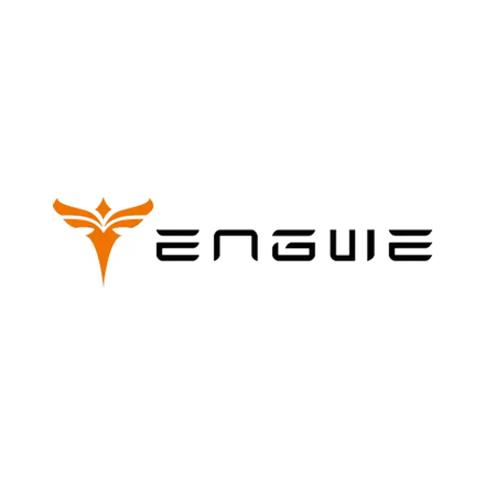 Engwe discount codes