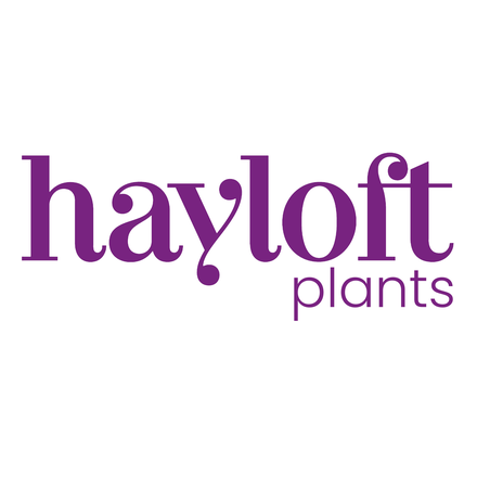 Hayloft Plants discount codes
